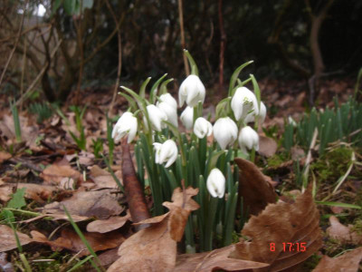 DSC05871.JPG