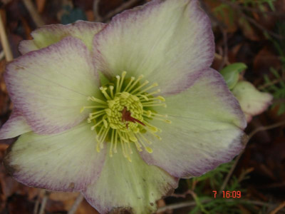 DSC05857.JPG