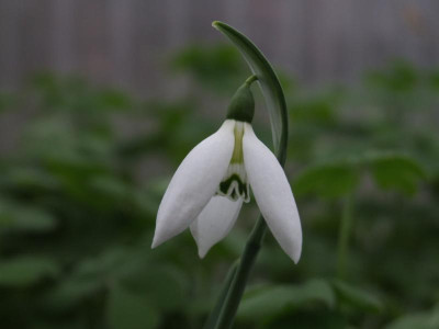 DSCF5883.JPG