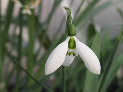 DSCF4666.JPG