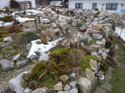 P1020524.JPG