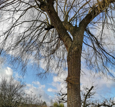 2019-02-09-12-54-21.jpg