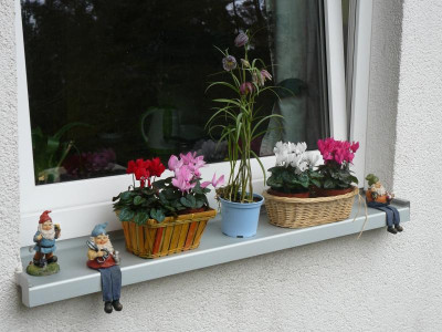 Fenster.jpg
