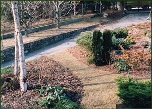 Birken_1985.JPG