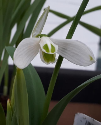 20190209_183515.jpg