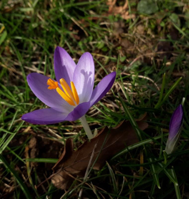 20190209_122733.jpg