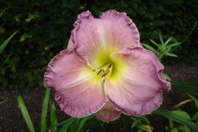 06.08.2011 046.jpg