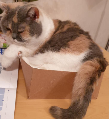 20190210_133126.jpg