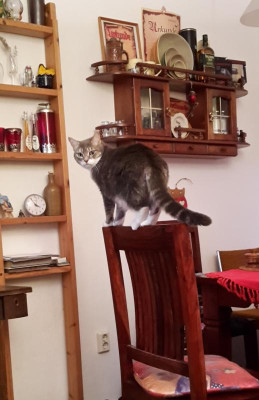 20190210_155404.jpg