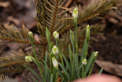 DSCF7651_3645.JPG
