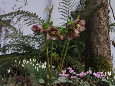DSCF5889.JPG