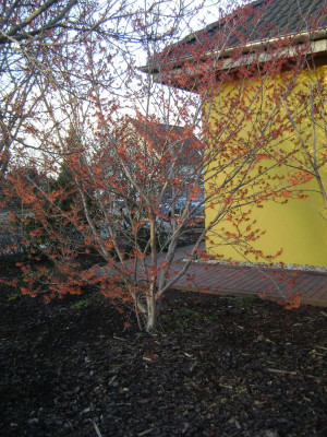 DSC02361.JPG