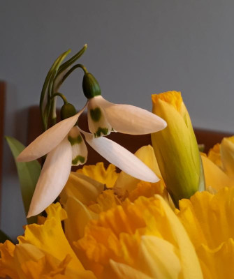 20190211_135445.jpg