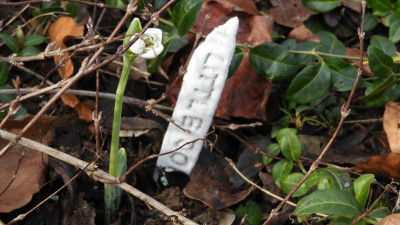 DSCN3977.JPG