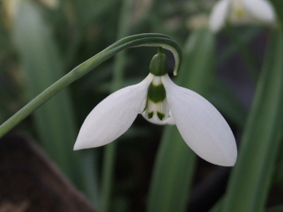 DSCF5897.JPG