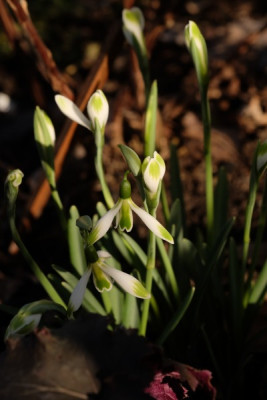 DSCF7935_3690.JPG