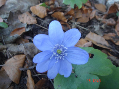 DSC05881.JPG
