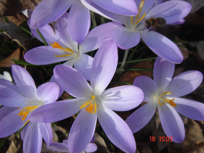 DSC05886.JPG