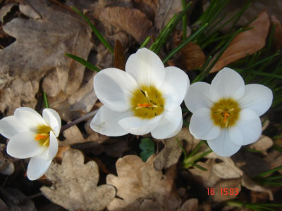 DSC05884.JPG