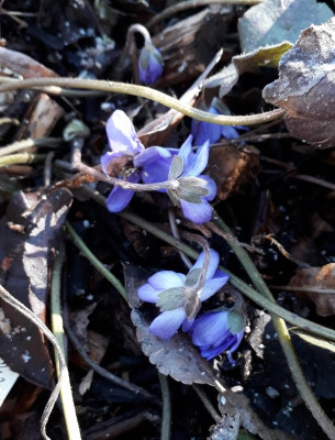 20190217_134137.jpg