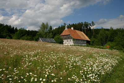 Neusath-Perschen1107.jpg