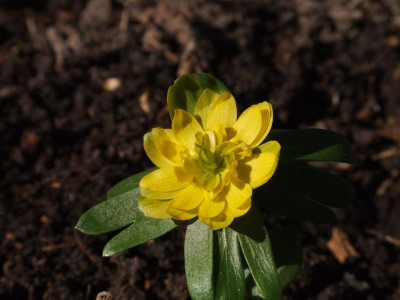 DSCF5906.JPG