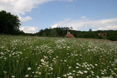 Neusath-Perschen1207.jpg