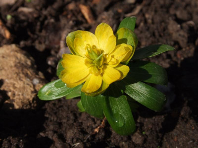 DSCF5913.JPG