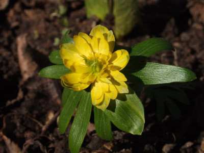 DSCF5914.JPG
