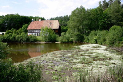 Neusath-Perschen1507.jpg