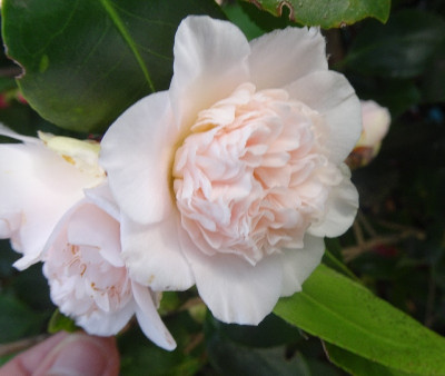 DSC06268.jpg