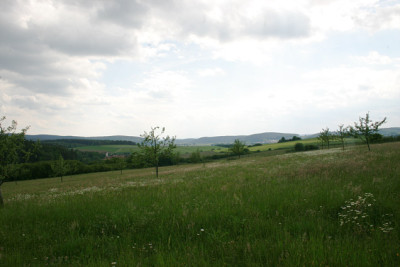 Neusath-Perschen0107.jpg