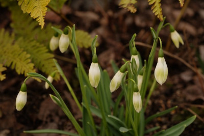 DSCF8083_3708.JPG