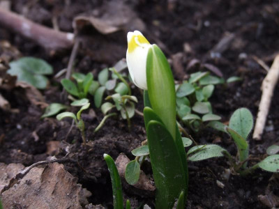 DSCF5931.JPG