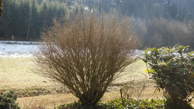 DSCN4033.JPG