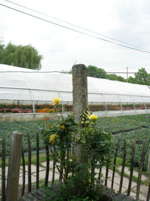 nachbarlicher_ausblick_2007-05-17.jpg