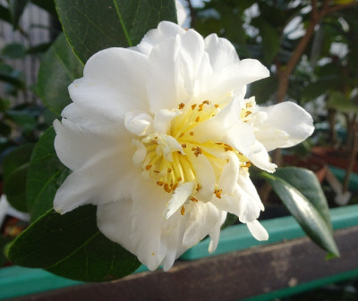 DSC06282.jpg