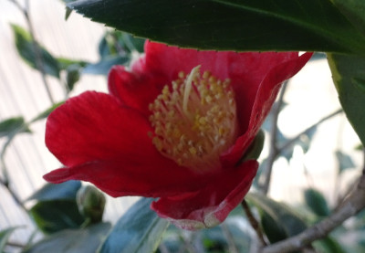 DSC06285.jpg