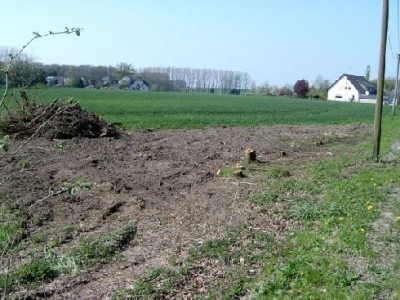 gerodetes_Waldchen_Ri._Wiedebr.jpg
