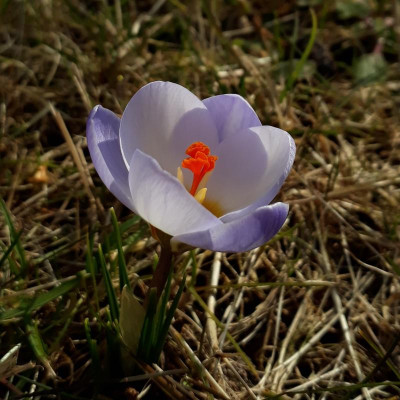 20190221_163724.jpg