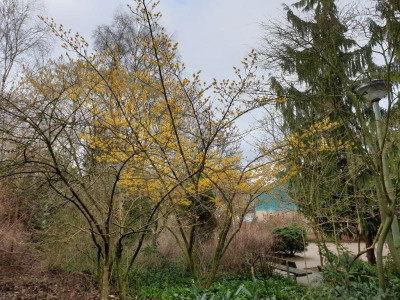 20190222_110357-1024x768.jpg