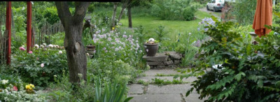 pano.jpg