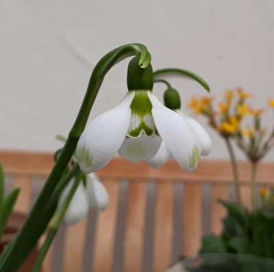 20190221_162939.jpg
