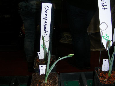 DSCN9379.JPG