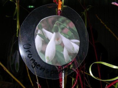 DSCN9380.JPG