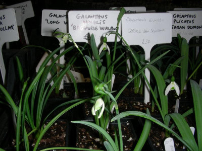 DSCN9382.JPG