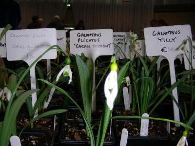 DSCN9383.JPG