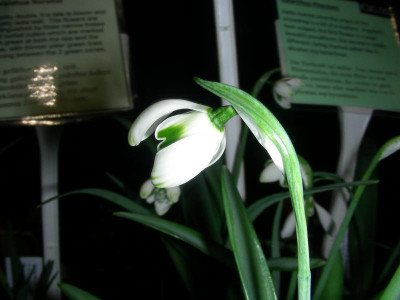 DSCN9376.JPG
