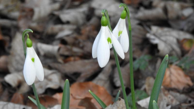 DSCN4043.JPG