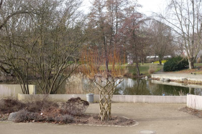 DSC06950.JPG